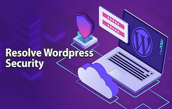 wordpress website designer in multan